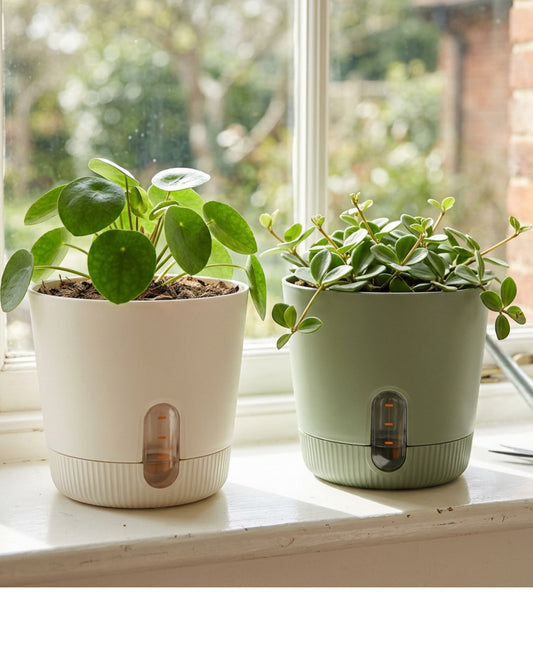 Lviy Self-Watering Round Plastic Planters 20 cm White and Sage Set of 2 - Lifestyle view