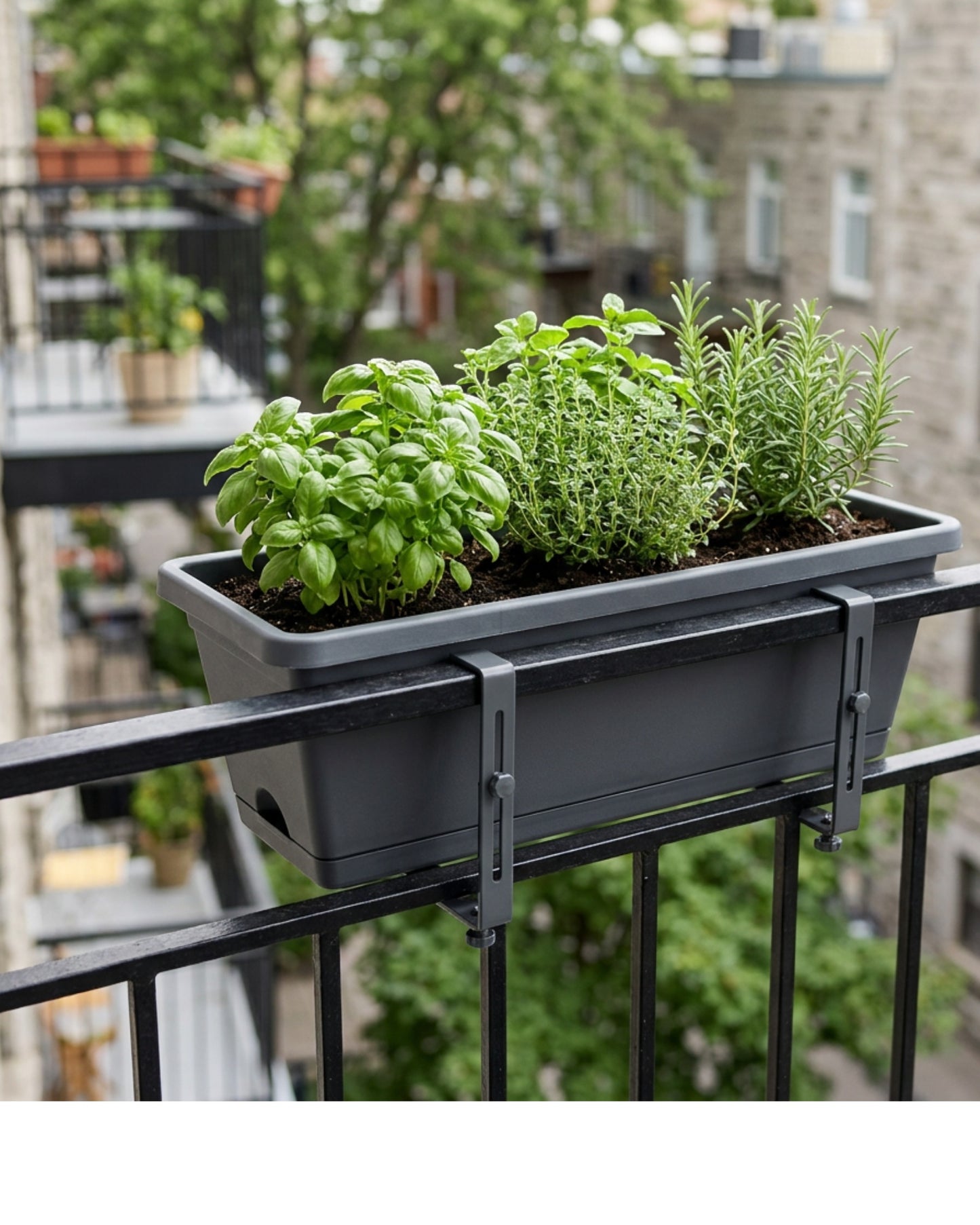 Lviy Railing Plastic Planter 50 cm Charcoal with Adjustable Brackets - Lifestyle view